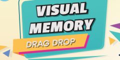 Visual Memory Drag Drop